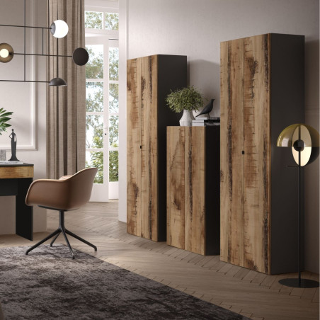 Rangement armoire 2 portes noir graphite et aspect bois antique - SYNERGIZE