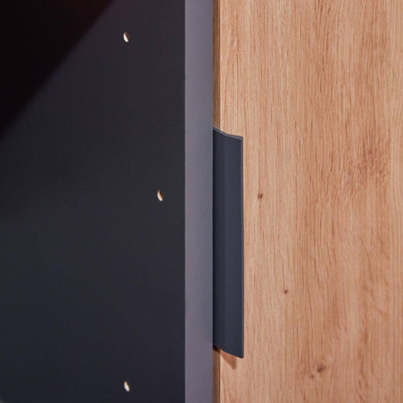 Meuble 2 Portes 2 Niches Anthracite Effet Bois - OPHIO