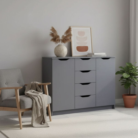 Meuble 2 Portes 4 Tiroirs Coloris Anthracite - JENIE