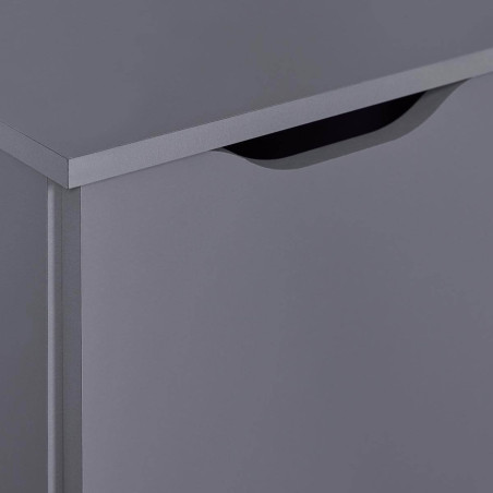 Meuble 2 Portes 4 Tiroirs Coloris Anthracite - JENIE