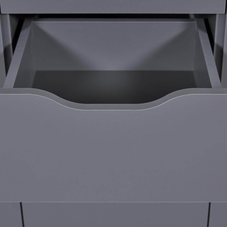 Meuble 2 Portes 4 Tiroirs Coloris Anthracite - JENIE