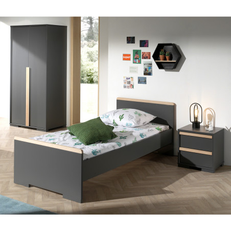 Armoire 2 Portes Anthracite et Bois - NASHAR