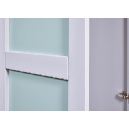 Armoire 2 Portes en Pin Gris et Vert d'Eau - GLASEN