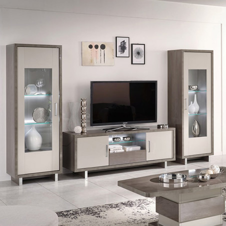 Meuble TV 2 portes gris acier métallisé et gris mat avec LED - AUXIA