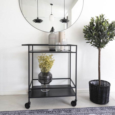 Desserte sur Roulettes Acier et Plateaux Noirs - BRUIO