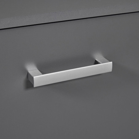 Meuble TV 2 portes 2 niches gris graphite - ZEINO