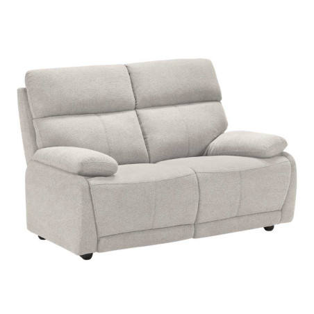 Canapé fixe 2 places gris clair en tissu polyester - MIGUELOR