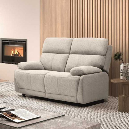 Canapé fixe 2 places gris clair en tissu polyester - MIGUELOR