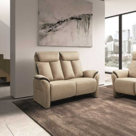 Canapé fixe 2 places New Nobuck beige et gris foncé - COIMA