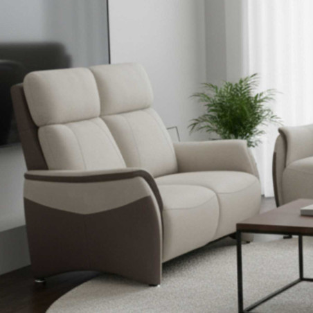 Canapé 2 places fixe tissu micro peau brun taupe et beige mastic - SANGYOR